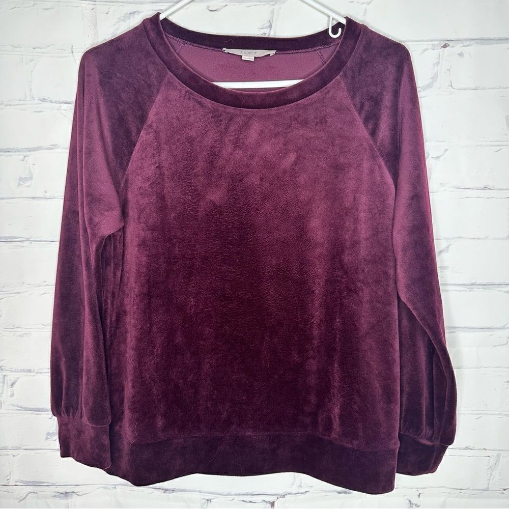 Loft small purple top
